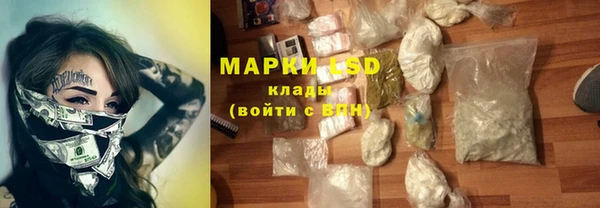 стаф Ельня