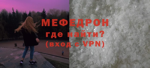 стаф Ельня