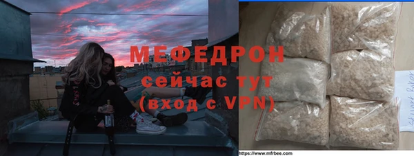 стаф Ельня