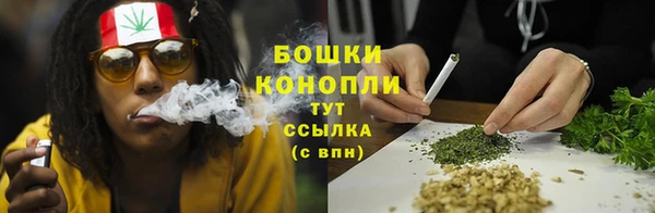стаф Ельня