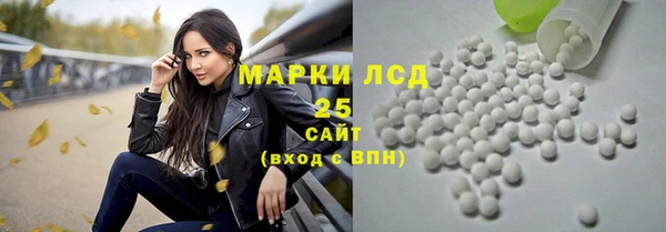стаф Ельня