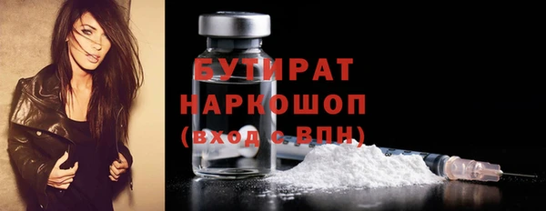 стаф Ельня
