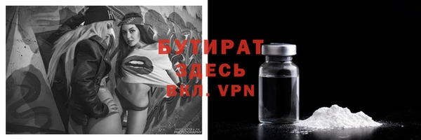 стаф Ельня