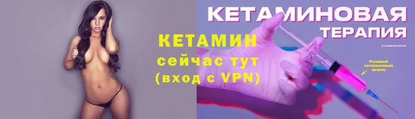 стаф Ельня