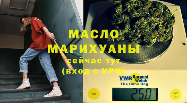 стаф Ельня