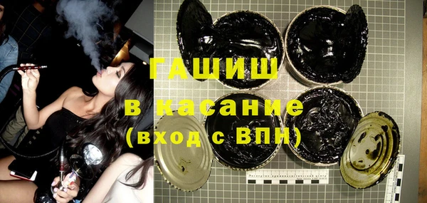 стаф Ельня
