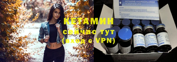 стаф Ельня