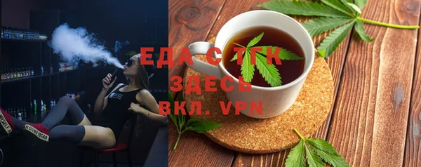 стаф Ельня