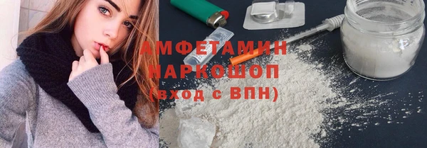 стаф Ельня