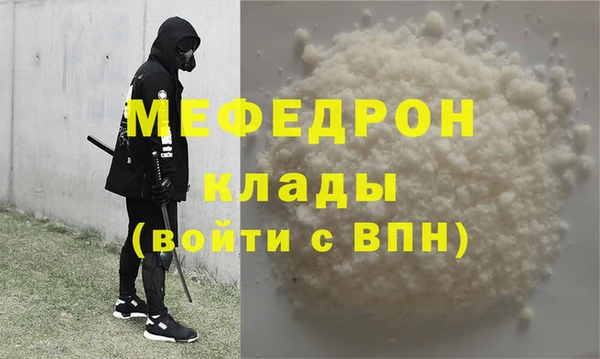 стаф Ельня