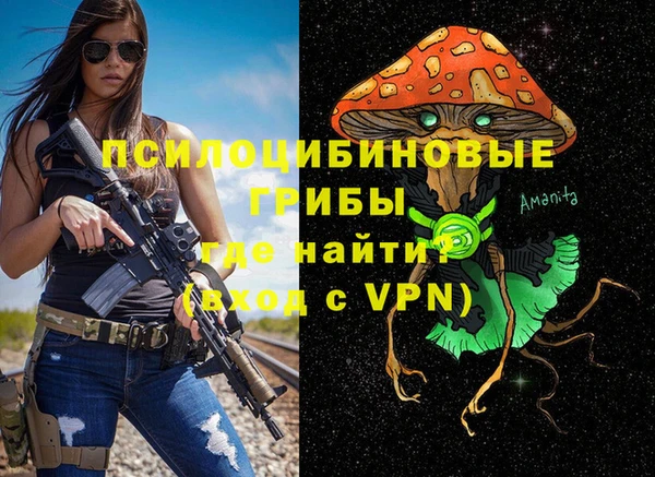 стаф Ельня