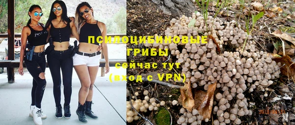 стаф Ельня