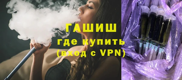 стаф Ельня