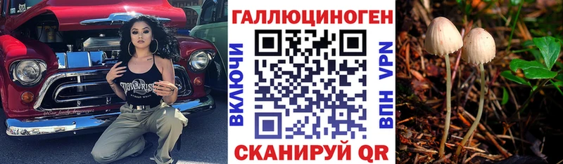 Галлюциногенные грибы Psilocybe  Купить закладки  Порхов 